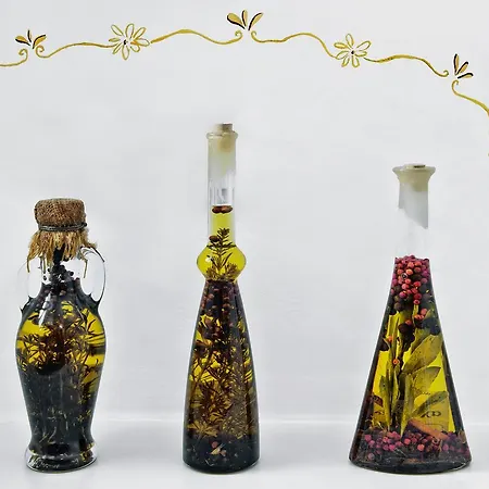 Aparthotel Anemomilos